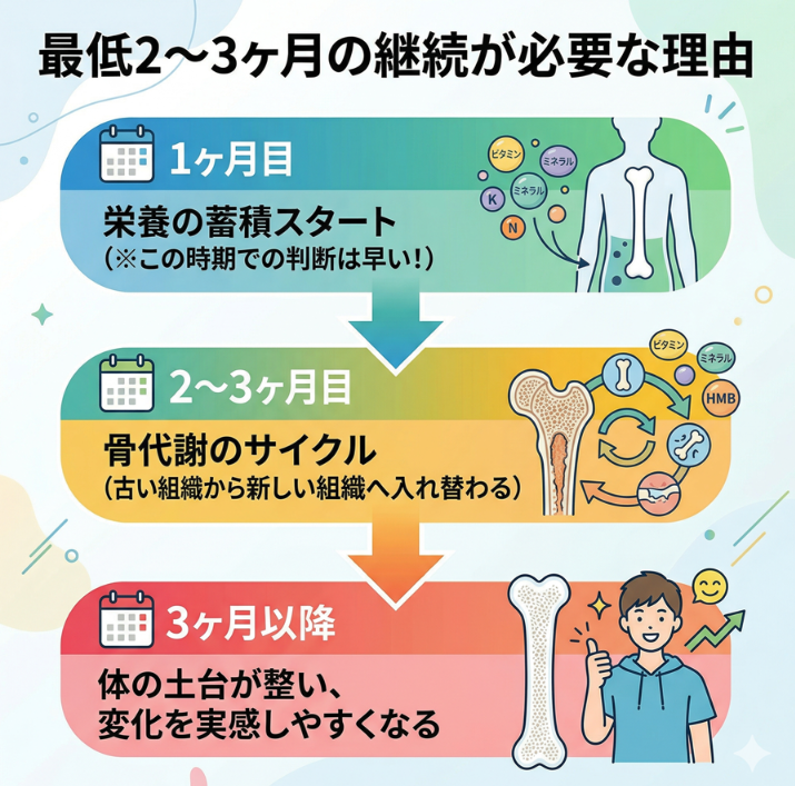 ノビエースの判断には最低でも2〜3ヶ月——骨の入れ替わりサイクルの話